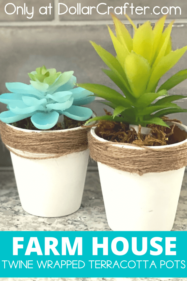 Twine Wrapped Terracotta Pots