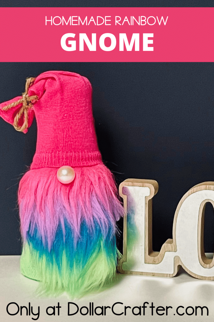 Rainbow Gnome Craft